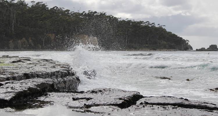 Parcs et nature de Tassie - AAT Kings 2