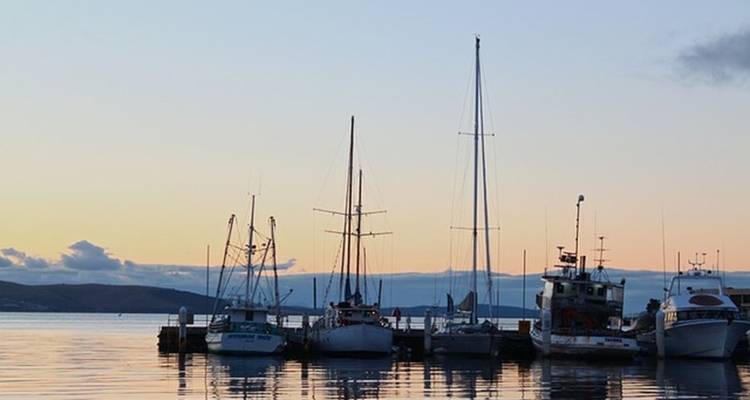 Lo mejor de la costa este de Tassie - 5 días - AAT Kings 8