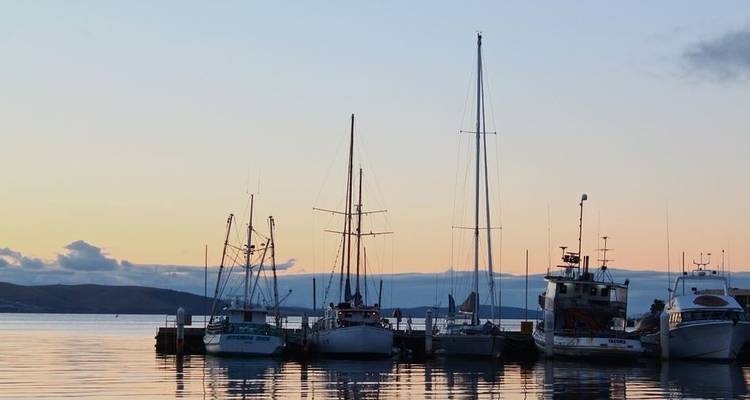 Iconos de la naturaleza salvaje de Tassie - 6 días - AAT Kings 6
