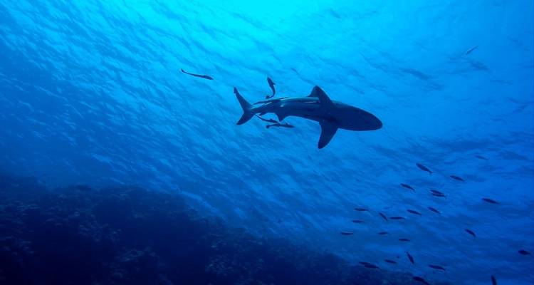 Inspirando a Australia - Inspiring Journeys 8