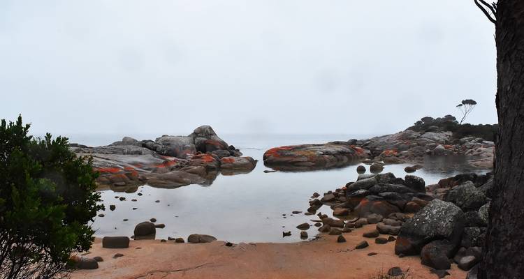Huellas y senderos de Tasmania - Inspiring Journeys 2