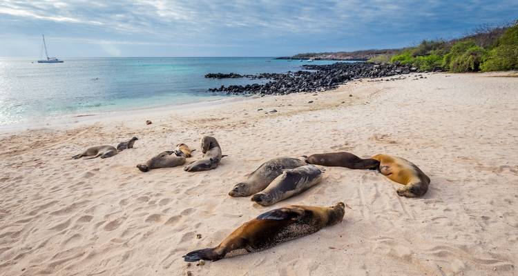 Programa de isla en isla en Galápagos de 5 días - Adore Ecuador Travel 3