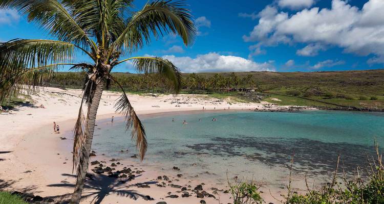 Palmgesäumter weißer Sandstrand Anakena mit türkisfarbenem Lagunengewässer und Badegästen, die das Wasser genießen.