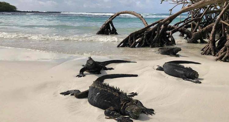 7 Days Galapagos Multisport Adventure Tour - Responsible Travel South America 2