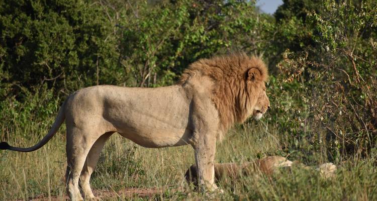 Safari de acampada económico de 12 días en Tanzania y Kenia - Exciting Africa Holidays 10