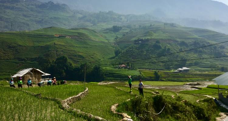 Trabajadores y excursionistas cuidando terrazas de arroz en una ladera soleada en las montañas