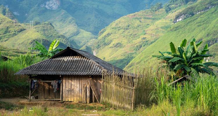 Casa de madera sobre pilotes ubicada entre pendientes aterrazadas de verde intenso y plataneros.