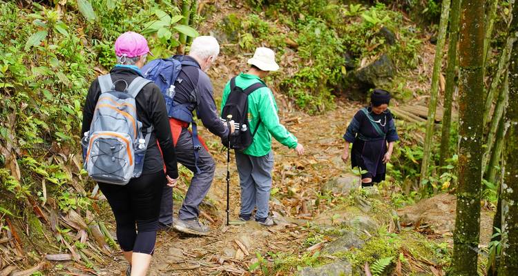 Los viajeros siguen a un guía local por un sendero estrecho del bosque cubierto de hojas.