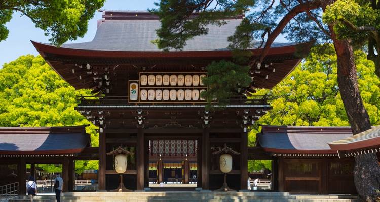 Portail en bois traditionnel du Sanctuaire Meiji entouré d'une verdure luxuriante sous un ciel dégagé