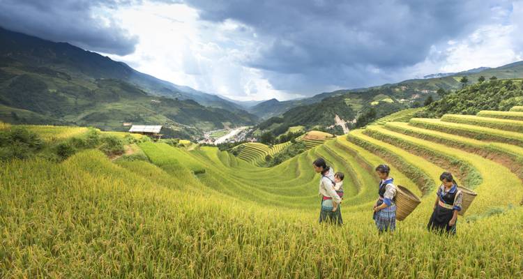 Paquete turístico Hanoi - Sapa en 7 días - LVP Travel 1