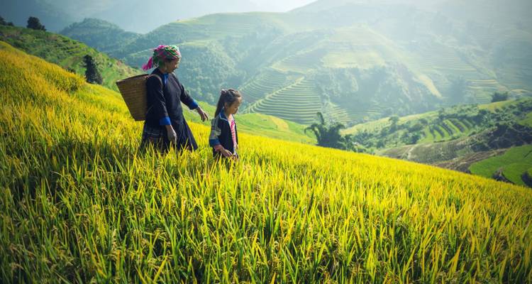 Madre e hijo con ropa tradicional caminando por campos de arroz