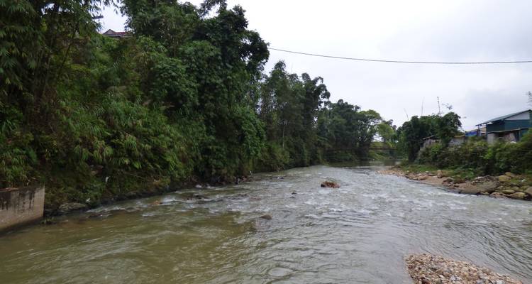 Río que fluye a través de una zona boscosa.