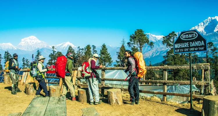 Mohare Danda Trek - Trekking Trail Nepal Pvt Ltd 10