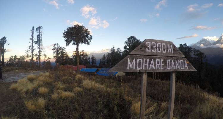 Mohare Danda Trek - Trekking Trail Nepal Pvt Ltd 7