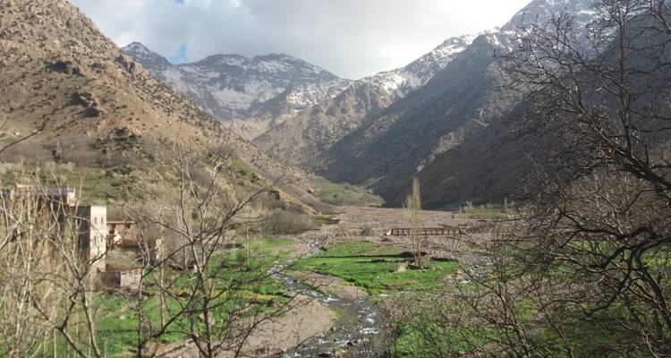 Un valle exuberante con montañas de fondo, con un arroyo que lo atraviesa.