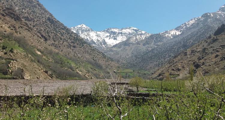 Trekking au Jebel Toubkal Maroc 8 jours - Easygo Tours 6