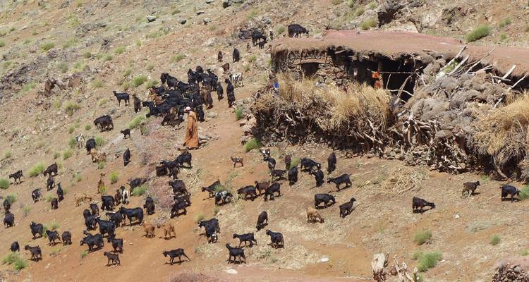 Trekking au Jebel Toubkal Maroc 8 jours - Easygo Tours 8