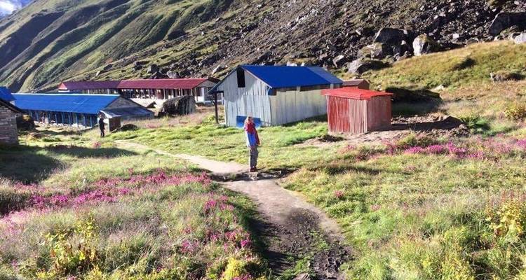 Budget Annapurna Poonhill Ghorepani Trek - 8 Days - Trekking Guide Team Adventure 7