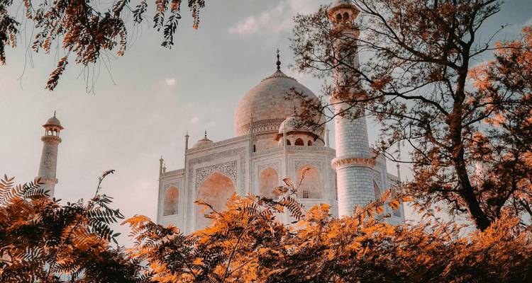 08 Days - Colorful Golden Triangle Tour With Udaipur Lake City!! -  Taj Voyages Tours  4