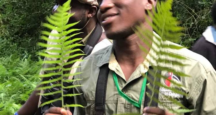 Trek pour les gorilles - Forêt impénétrable de Bwindi - 3 jours - Oasis Safaris Limited 3