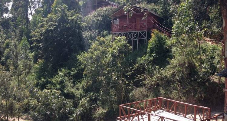 Trek pour les gorilles - Forêt impénétrable de Bwindi - 3 jours - Oasis Safaris Limited 1