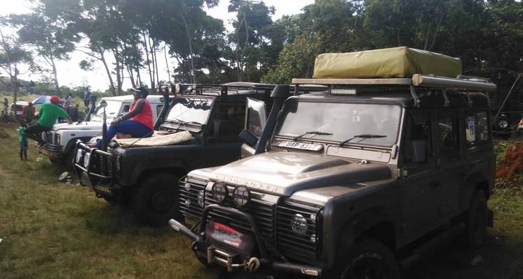 Trek pour les gorilles - Forêt impénétrable de Bwindi - 3 jours - Oasis Safaris Limited 4