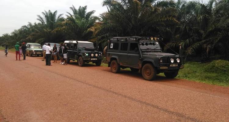 Trek pour les gorilles - Forêt impénétrable de Bwindi - 3 jours - Oasis Safaris Limited 2