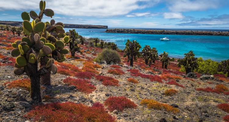 Programa de isla en isla en Galápagos de 6 días - Adore Ecuador Travel 10
