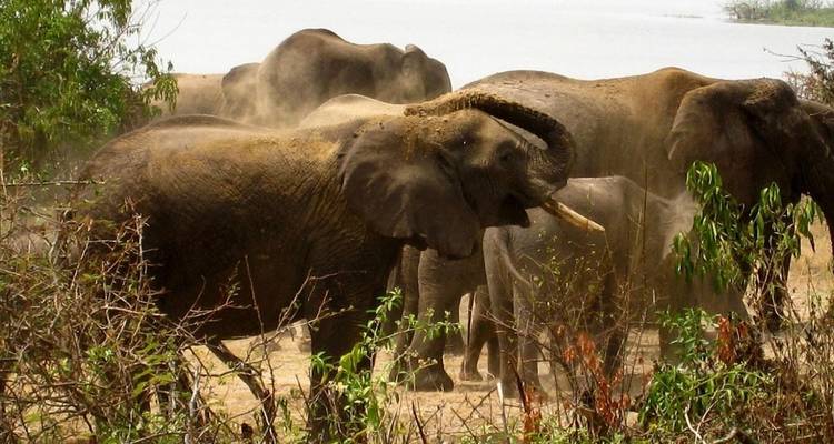3 jours de safari dans le parc national des chutes de Murchison - Oasis Safaris Limited 3