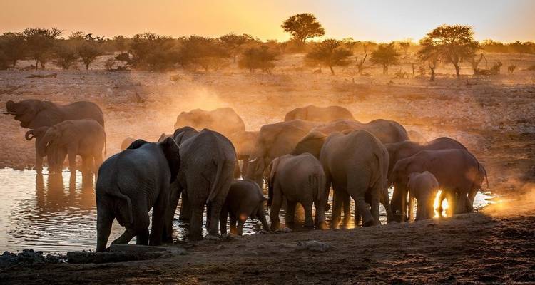 3 jours de safari dans le parc national des chutes de Murchison - Oasis Safaris Limited 2