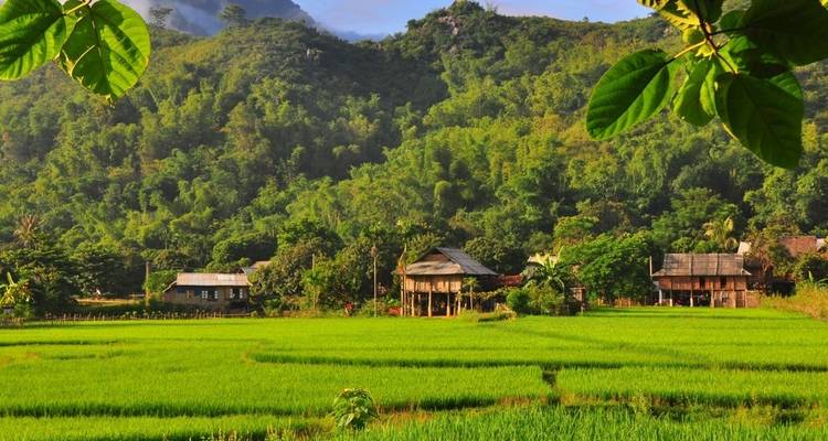Peaceful rural scene with wooden stilt houses set against lush green rice paddies and forested hills.