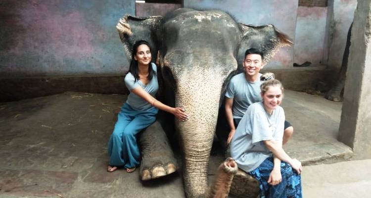 Personas sentadas junto a un elefante en un establo.