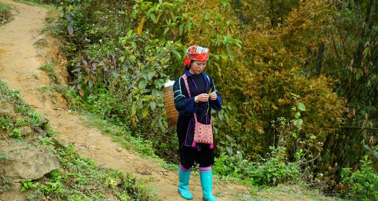 Local Hmong woman in traditional dress walks along a dirt trail bordered by dense foliage.