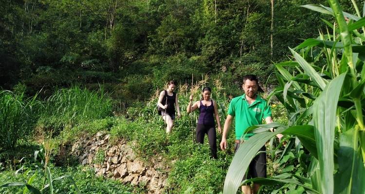 Three trekkers walking through lush countryside vegetation next to tall corn plants