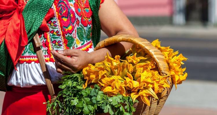 A Taste of Mexico City, City Break - Destination Services Mexico 6