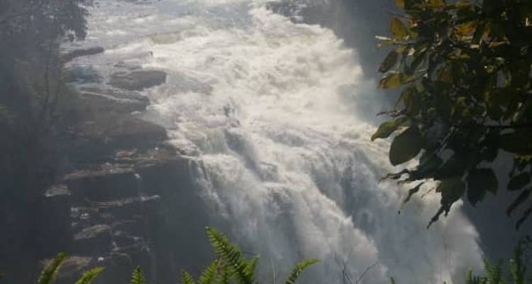 4 Day Victoria Falls and Hwange Safari - Little Roz Tours 7