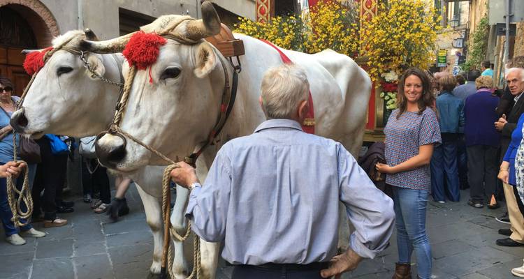 Une foule s'est rassemblée autour de bœufs décorés dans une rue.