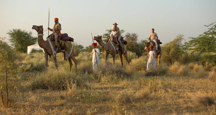 14 nuits et 15 jours - Circuit personnalisé au Rajasthan avec Taj Mahal - India Arrivals Tours 4