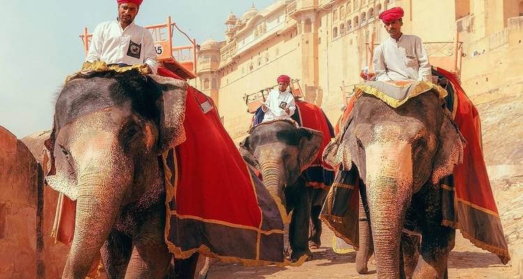 Circuito al triángulo de oro de la India - 6 días - todo incluido - Fragrance of Taj 8