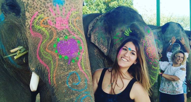 Aventuras en Ranthambore: Safari por la naturaleza con el Triángulo de Oro - 7 días - Fragrance of Taj 7