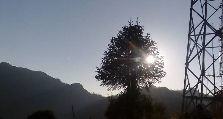 Gorepani Poonhil View Trek 7 days - Mega Mount Treks and Expedition Pvt.Ltd.  1