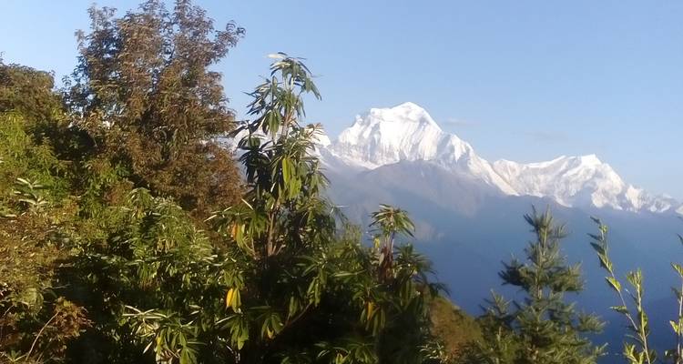Gorepani Poonhil View Trek 7 days - Mega Mount Treks and Expedition Pvt.Ltd.  3