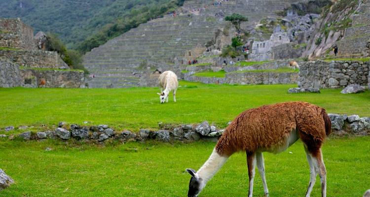 4 Day Cusco Travel Package: Cusco, Sacred Valley, and Machu Picchu. - Kantu Peru Tours 4