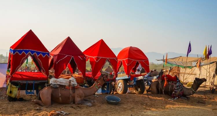 Circuito por Rajastán con vida salvaje - tigres Taj Mahal lagos y más - Julie International Tours 7