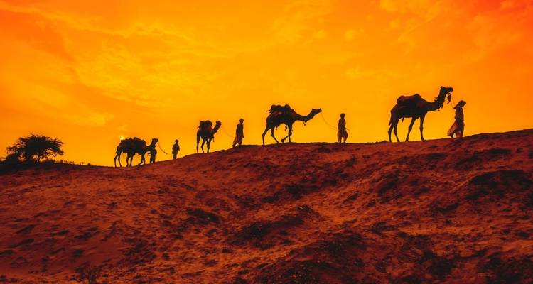 Circuito por Rajastán con vida salvaje - tigres Taj Mahal lagos y más - Julie International Tours 6