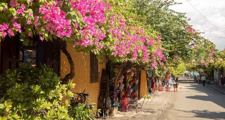 Flores coloridas y edificios tradicionales en una calle soleada.