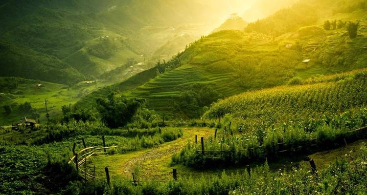 Meilleures vacances à la plage au Vietnam dans des hôtels 4* - Swallow Travel 6