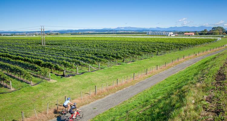 Tour de Hawkes Bay Estates - Self guided - Tour de Vines 3