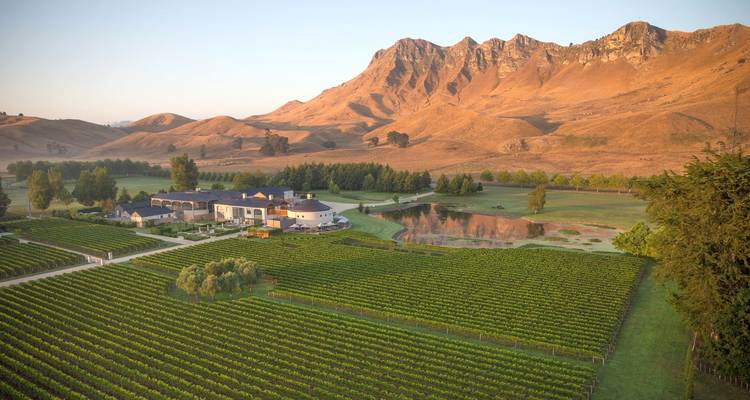 Tour de Hawkes Bay Estates - Self guided - Tour de Vines 4