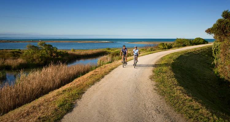 Tour de Hawkes Bay Estates - Self guided - Tour de Vines 7